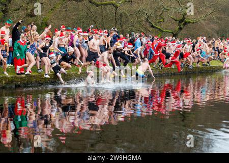 The annual Christmas morning dip into Blackroot Pool in Sutton Coldfield Park. On the stroke of 10am, people dressed in festive costumes, dive, jump, lower themselves into the water. Stock Photo