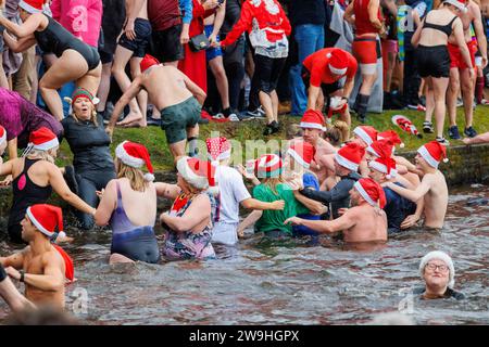 The annual Christmas morning dip into Blackroot Pool in Sutton Coldfield Park. On the stroke of 10am, people dressed in festive costumes, dive, jump, lower themselves into the water. Stock Photo