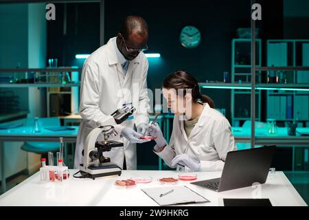 Medium full shot of biracial researchers working together in laboratory Stock Photo
