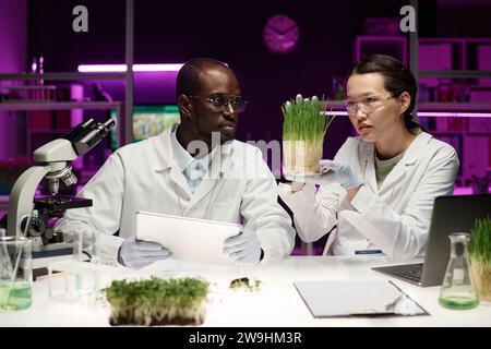 African american and asian scientists attentively looking at sample of herb analyzing its growth Stock Photo