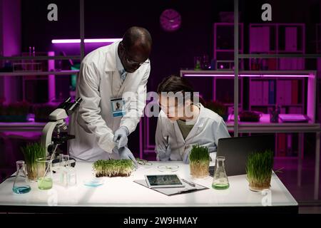 Two biracial scientists analyzing plant sample in petri dish working at desk in laboratory Stock Photo