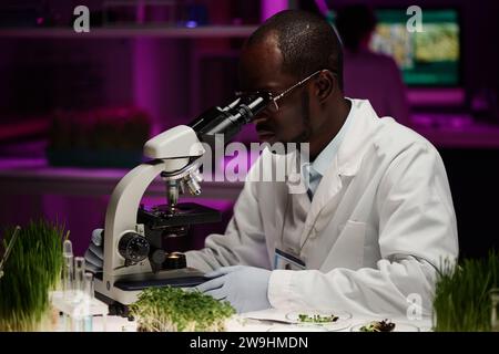 Black laboratory worker looking through microscope working at his desk in lab Stock Photo