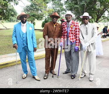 Barbados/Christmas In Queen's Park 2023 Stock Photo