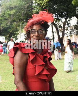 Barbados/Christmas In Queen's Park 2023 Stock Photo