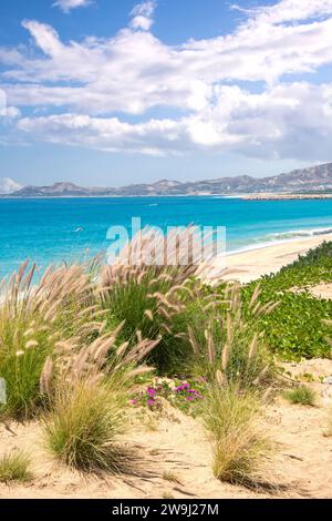 Coastline in Cabo San Lucas in Baja California Sur in Mexico Stock ...