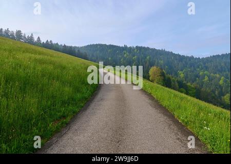 Sunny country road leads between a meadow and a forest in a hilly landscape, spring, Menzingen, Prealps, Zug, Canton Zug, Switzerland Stock Photo