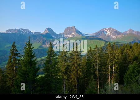 View of an idyllic mountain landscape with green forests and snow-capped peaks under a clear blue sky, Gurnigel Pass, Gantrisch, Canton of Bern Stock Photo