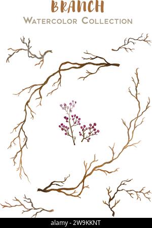 Vector set of beautiful hand drawn watercolor collection of branches for designs and cards Stock Vector