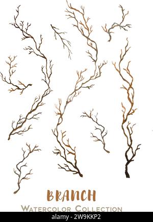 Vector set of beautiful hand drawn watercolor collection of branches for designs and cards Stock Vector