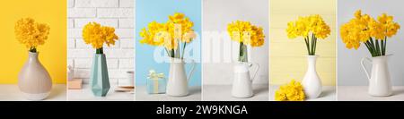 Collage of yellow narcissus flowers in vases on table Stock Photo