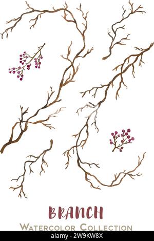 Vector set of beautiful hand drawn watercolor collection of branches for designs and cards Stock Vector
