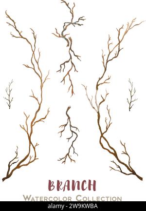Vector set of beautiful hand drawn watercolor collection of branches for designs and cards Stock Vector