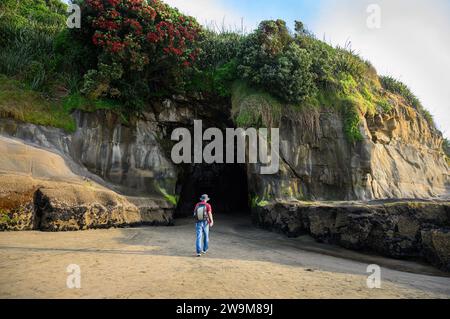 Man walking to the Muriwai cave. Pohutukawa trees in bloom. Muriwai Beach in summer. Auckland. Stock Photo