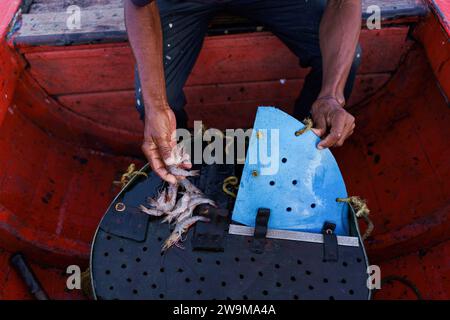 Cabimas, Venezuela. 28th Dec, 2023. A fisherman hands are seen sorting shrimps on a fishing boat. After being exploited for intense oil extraction for decades, Lake Maracaibo has become heavily polluted due to the neglect and lack of maintainance of the old pipes and infrastructure. This has caused a severe decline in fish stock, with the appearance of bacterias and toxic algae on the water surface, damaging the lives of the people living on its shores who rely on fishing for a living. Credit: SOPA Images Limited/Alamy Live News Stock Photo