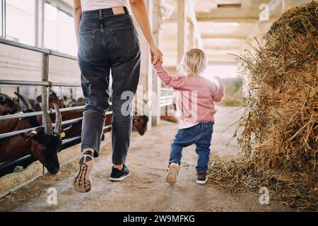 Mom with a little daughter walks through the farm holding her hand past the goats in the paddocks Stock Photo