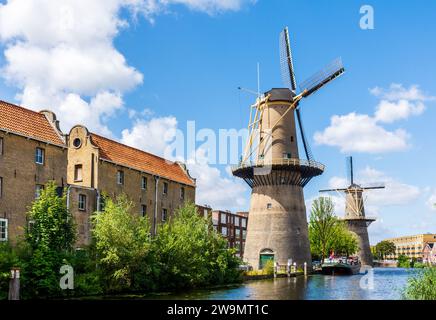 The Palmboom and the Noord city mills are part of the Schiedam windmills near Rotterdam, Netherlands, the tallest classic windmills in the world. Stock Photo
