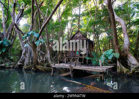 An old cabin sits on the shore of the Indian River in the mangrove forest near the town of Portsmouth on the Caribbean island of Dominica. This cabin was constructed and used for t Stock Photo