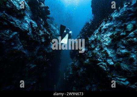 diver exploring reef close to the island of Koh Tao / Thailand Stock Photo