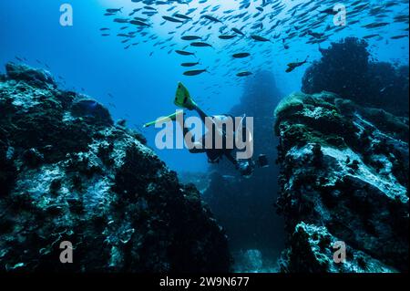 diver exploring reef close to the island of Koh Tao / Thailand Stock Photo