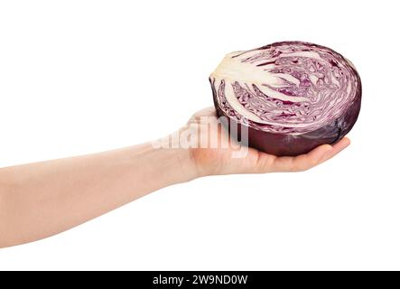 sliced red cabbage in hand path isolated on white Stock Photo