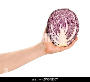 sliced red cabbage in hand path isolated on white Stock Photo