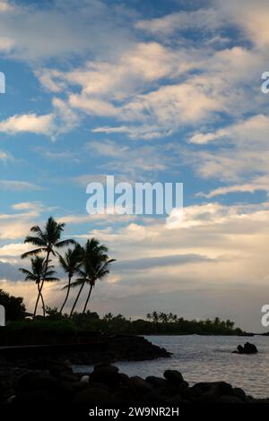 Palm tree silhouette on Kealakekua Bay, Kealakekua Bay State Historical Park, Hawaii Stock Photo