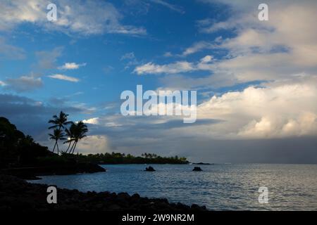 Palm tree silhouette on Kealakekua Bay, Kealakekua Bay State Historical Park, Hawaii Stock Photo