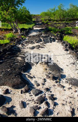 Ala Kahakai National Historic Trail, Puuhonua o Honaunau National Historical Park, Hawaii Stock Photo