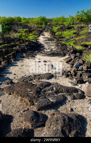 Ala Kahakai National Historic Trail, Puuhonua o Honaunau National Historical Park, Hawaii Stock Photo