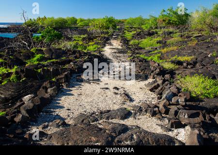 Ala Kahakai National Historic Trail, Puuhonua o Honaunau National Historical Park, Hawaii Stock Photo