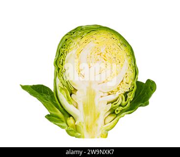 cross section of one brussels sprouts, close-up, isolated on white background Stock Photo