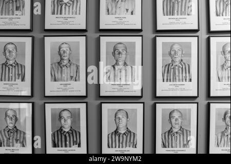 Images of interns killed whilst in the concentration camps at Auschwitz and Birkenau concentration camps, Poland Stock Photo