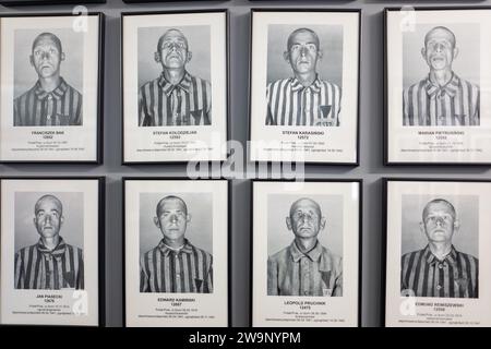 Images of interns killed whilst in the concentration camps at Auschwitz and Birkenau concentration camps, Poland Stock Photo