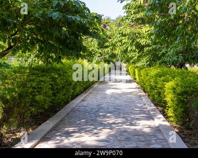 Garden of hotel Taj Mahal Lucknow. Gomti Nagar Ext Bypass Rd, Vipin Khand, Gomti Nagar, Lucknow, Uttar Pradesh 226010, Inde Stock Photo