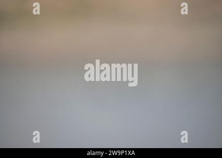 Soft focus gradient from white to grey, reminiscent of a gentle mist. Stock Photo