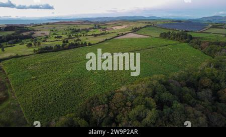 Drone view of lush crops atop an Aberystwyth hill, revealing a weather station and dirt track. Stock Photo