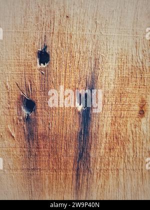 Wood texture. Big weathered wooden background from planks with rusty nails. Sharp and highly detailed. Stock Photo