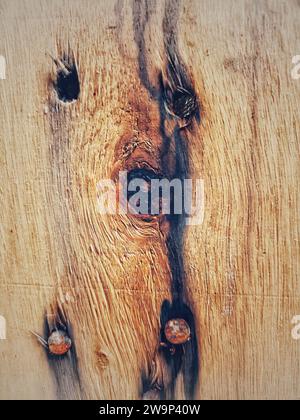 Wood texture. Big weathered wooden background from planks with rusty nails. Sharp and highly detailed. Stock Photo