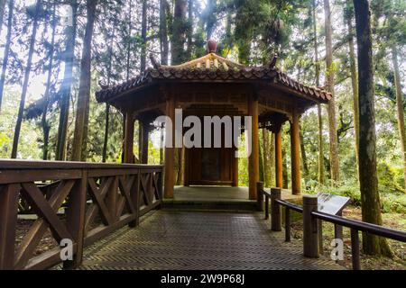 Paved Wooden Hiking Area inside of Alishan National Forest Area Surrounded by Green Jungle in Taiwan Stock Photo