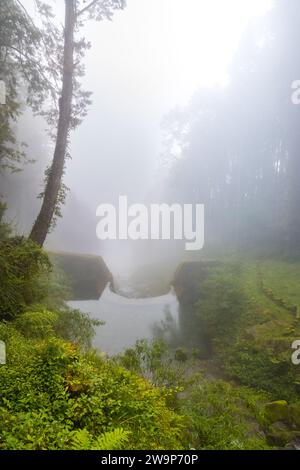 Beautiful Forest Landscape of Alishan National Forest Area in Chiyahi, Taiwan Stock Photo