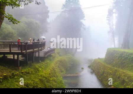 Alishan, Taiwan - October 08 2023 :Natural Hiking Area of Alishan National Forest in Taiwan Stock Photo