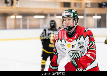 Stockholm, Stockholm, Sweden. 29th Dec, 2023. Frolunda 22 Andrea Dalen during the game in SDHL between AIK and Frolunda HC on Ulriksdala IP the 29 December in Stockholm (Credit Image: © Johan Dali/ZUMA Press Wire) EDITORIAL USAGE ONLY! Not for Commercial USAGE! Credit: ZUMA Press, Inc./Alamy Live News Stock Photo