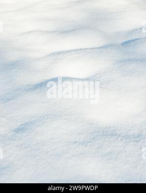 Fine structure of freshly fallen snow, gently undulating fresh snow with subtle shadows on a sunny winter day, untouched snow cover with fine Stock Photo