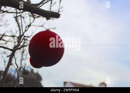 A close up photo of a red Christmas bauble hanging from a tree branch outside. Stock Photo