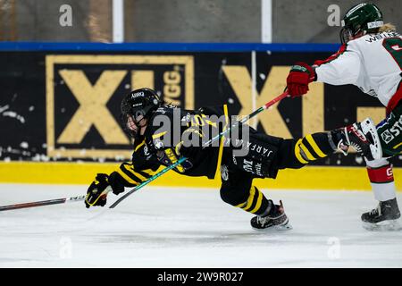 Stockholm, Stockholm, Sweden. 29th Dec, 2023. AIKs 10 Hikaru Yamashita during the game in SDHL between AIK and Frolunda HC on Ulriksdala IP the 29 December in Stockholm (Credit Image: © Johan Dali/ZUMA Press Wire) EDITORIAL USAGE ONLY! Not for Commercial USAGE! Credit: ZUMA Press, Inc./Alamy Live News Stock Photo