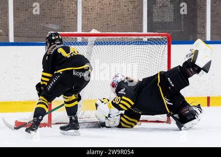 Stockholm, Stockholm, Sweden. 29th Dec, 2023. AIKs goalkeeper Blanka Skodova during the game in SDHL between AIK and Frolunda HC on Ulriksdala IP the 29 December in Stockholm (Credit Image: © Johan Dali/ZUMA Press Wire) EDITORIAL USAGE ONLY! Not for Commercial USAGE! Credit: ZUMA Press, Inc./Alamy Live News Stock Photo