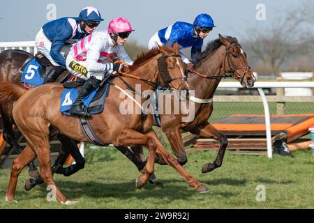 River Bray, winner of the 2nd race at Wincanton, ridden by Alan Johns and trained by Victor Dartnall Stock Photo