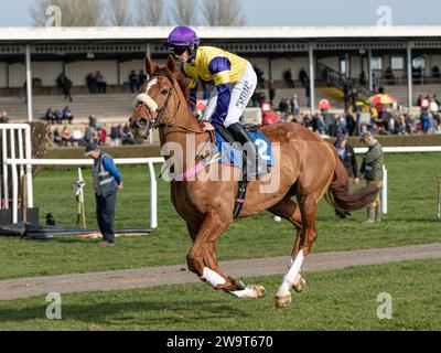 Financier, ridden by Richard Patrick and trained by Kerry Lee, running in the Handicap Steeple Chase at Wincanton, March 21st 2022 Stock Photo