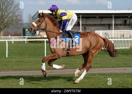 Financier, ridden by Richard Patrick and trained by Kerry Lee, running in the Handicap Steeple Chase at Wincanton, March 21st 2022 Stock Photo