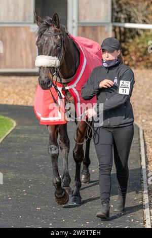 Photos of Petrossian, ridden by Harry Cobden and trained by Paul Nicholls, running over hurdles at Wincanton, March 21st 2022 Stock Photo